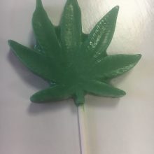 Cannabis Pop