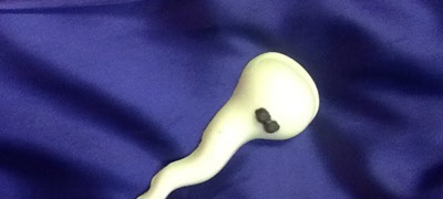 Spunky Sperm
